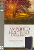Amplified Holy Bible, Burgundy, Large Print