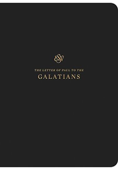 Galatians ESV Scripture Journals Scripture Journals Crossway Books   