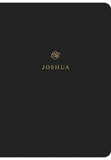 Joshua ESV Scripture Journals Scripture Journals Crossway Books   