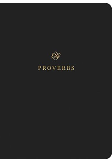 Proverbs ESV Scripture Journal Scripture Journals Crossway Books   