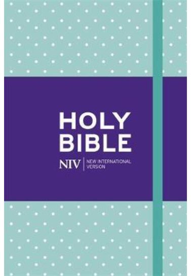 NIV Pocket Mint Polka-Dot Notebook Bible Bibles Hodder & Stoughton   