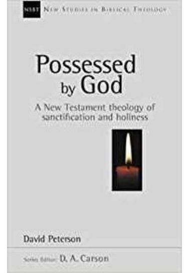 Possessed by God : New Testament Theology Of Sanctification And Holiness