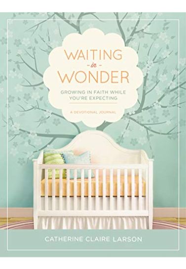 Waiting in Wonder - Catherine Larson Devotionals Thomas Nelson   